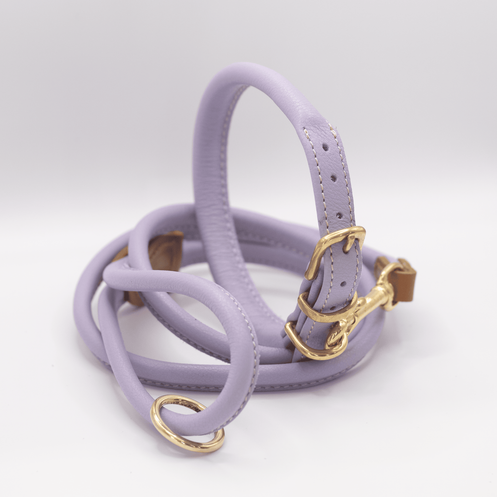 Lilac leather dog on sale collar