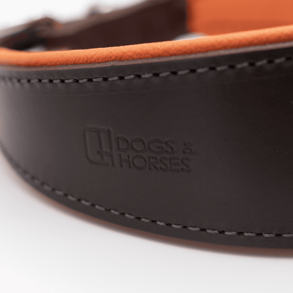 D&H Padded Leather Hound Collar Brown and Orange