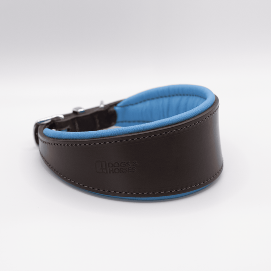 D&H Padded Leather Hound Collar Brown and Blue