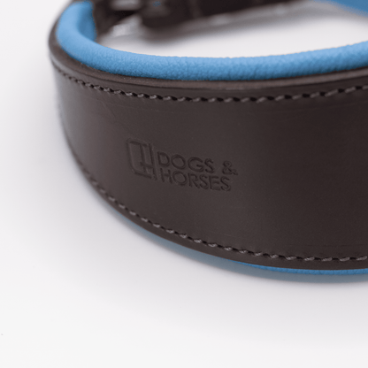 D&H Padded Leather Hound Collar Brown and Blue