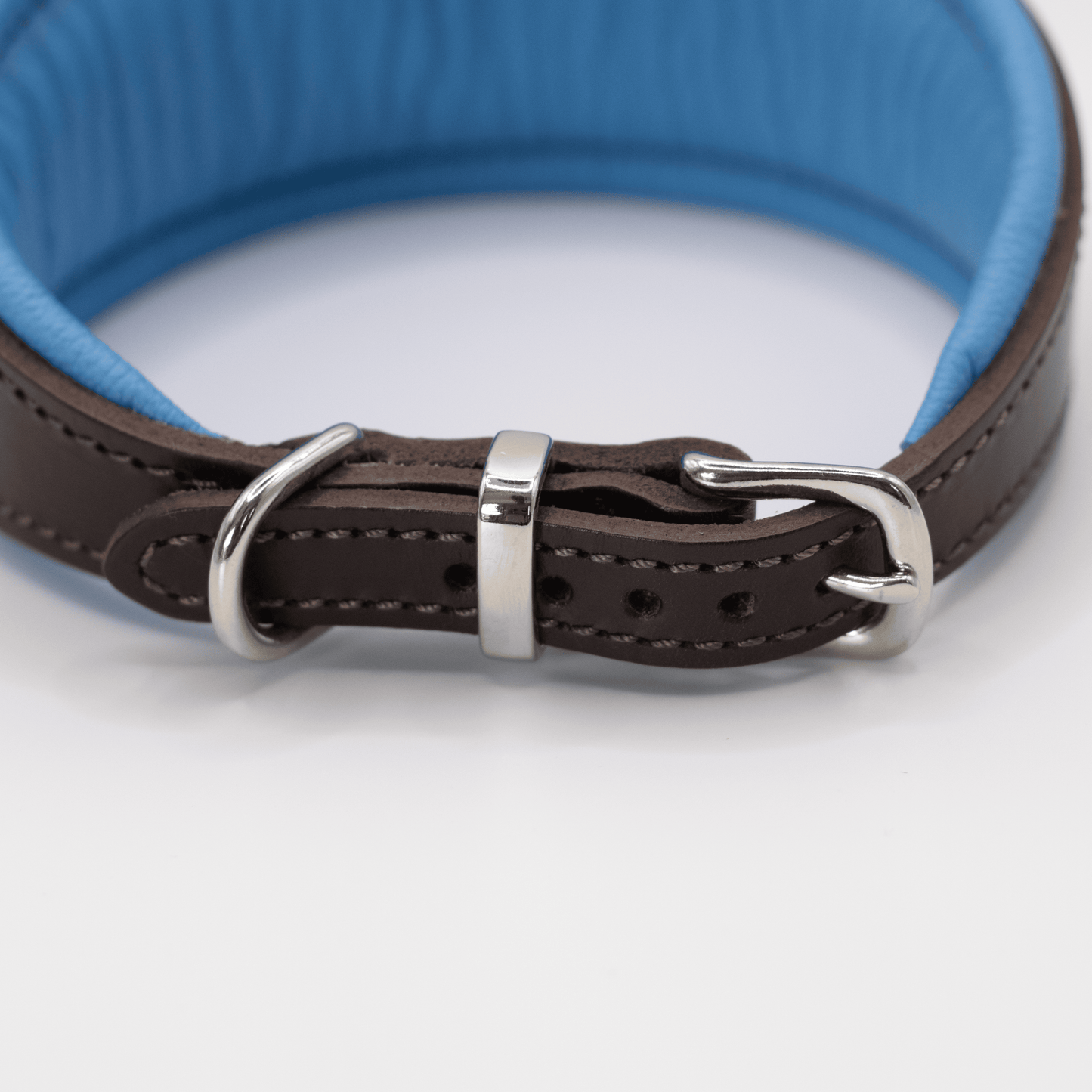 D&H Padded Leather Hound Collar Brown and Blue