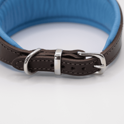 D&H Padded Leather Hound Collar Brown and Blue