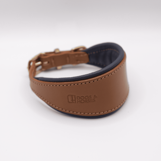 D&H Padded Leather Hound Collar Tan and Navy