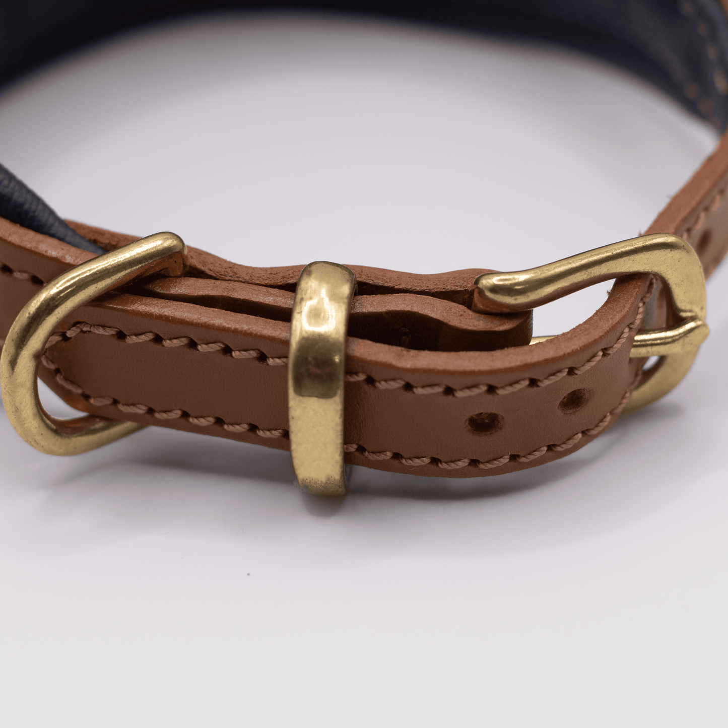 D&H Padded Leather Hound Collar Tan and Navy