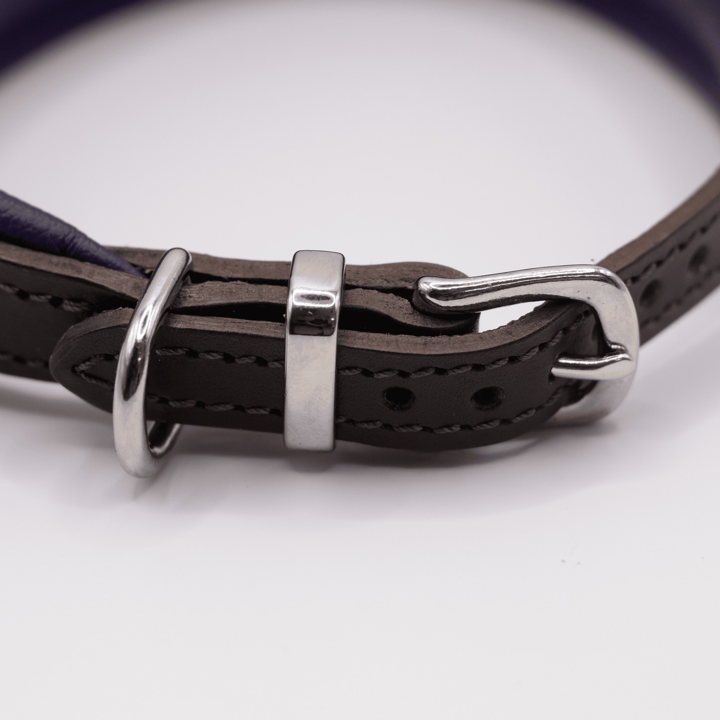 D&H Padded Leather Hound Collar Brown and Purple