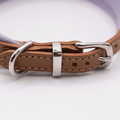 D&H Padded Leather Hound Collar Tan and Lilac