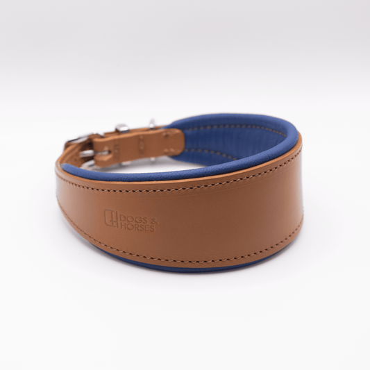 D&H Padded Leather Hound Collar Tan and Electric Blue