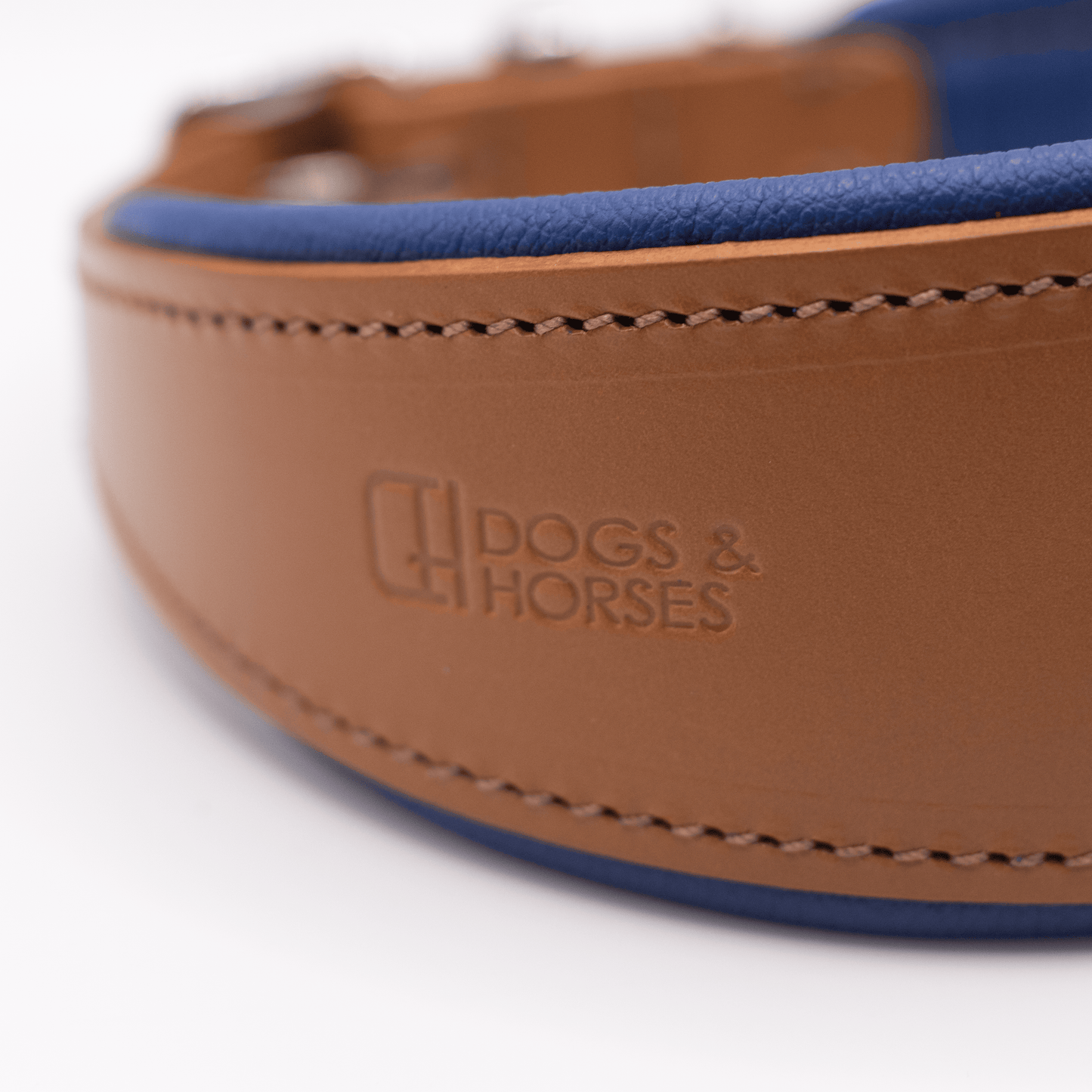 D&H Padded Leather Hound Collar Tan and Electric Blue