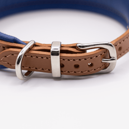 D&H Padded Leather Hound Collar Tan and Electric Blue