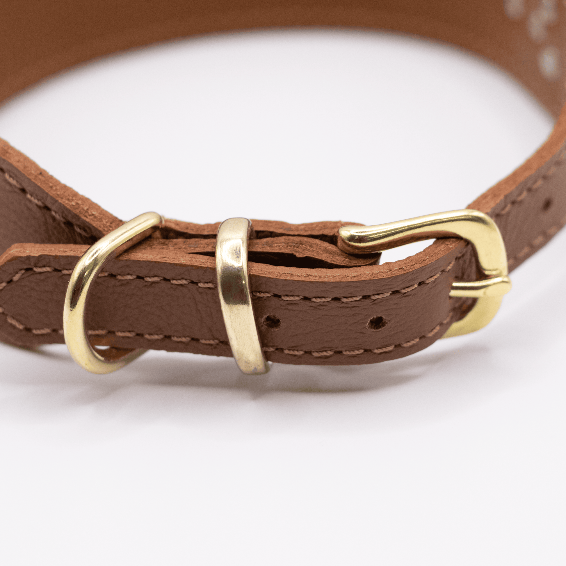 Flat sales buckle collar