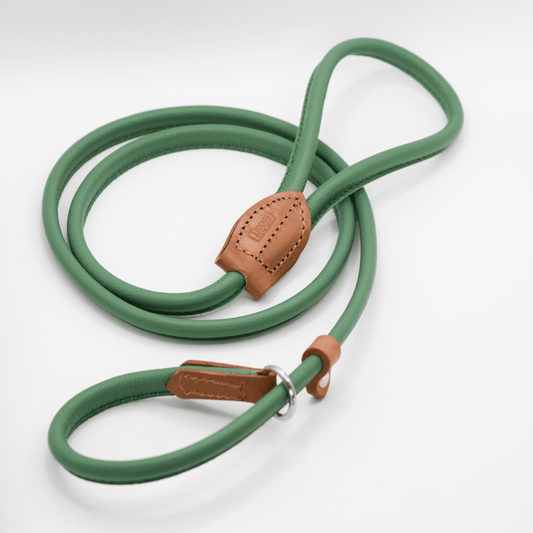 D&H Rolled Soft Leather Slip Lead Clover