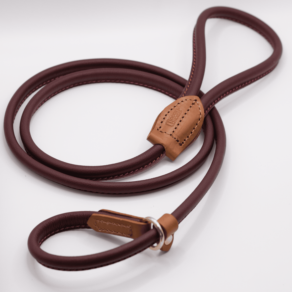 Leather best sale slip leash