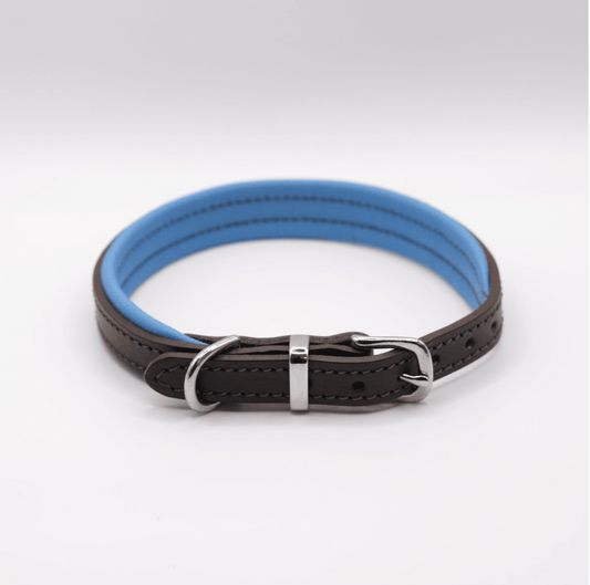 Padded Leather Dog Collar Brown and Blue