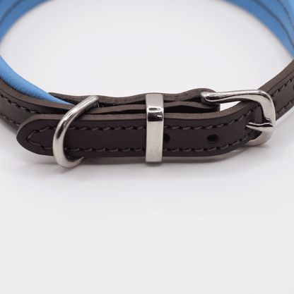 Padded Leather Dog Collar Brown and Blue