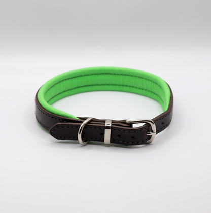 Padded Leather Dog Collar Brown and Green