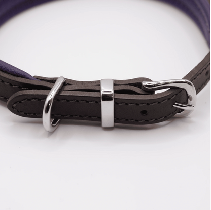 Padded Leather Dog Collar Brown and Purple