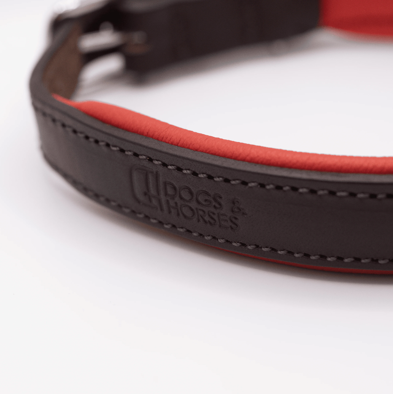 Padded Leather Dog Collar Brown and Red