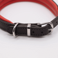 Padded Leather Dog Collar Brown and Red