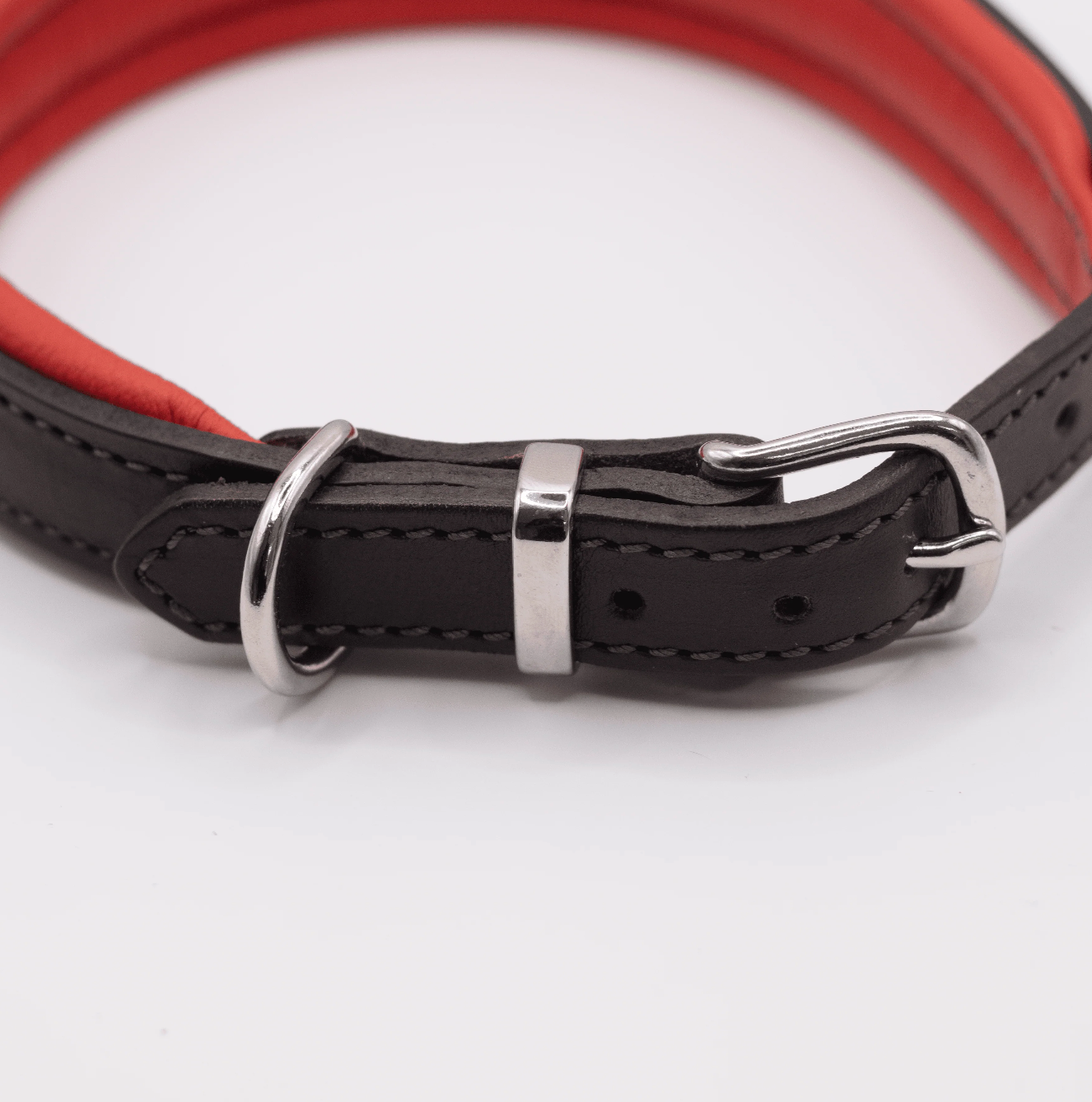 Padded Leather Dog Collar Brown and Red