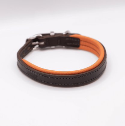 Padded Leather Dog Collar Brown and Orange