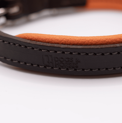 Padded Leather Dog Collar Brown and Orange