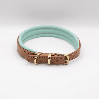 Padded Leather Dog Collar Aqua