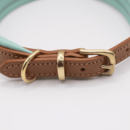 Padded Leather Dog Collar Tan and Aqua