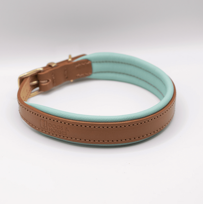 Padded Leather Dog Collar Tan and Aqua