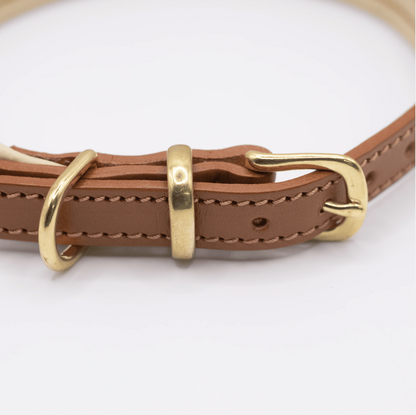 Padded Leather Dog Collar Tan and Cream