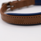 Padded Leather Dog Collar Tan and Electric Blue