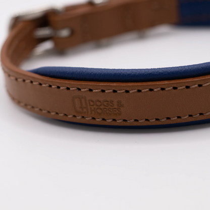 Padded Leather Dog Collar Tan and Electric Blue