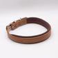 Padded Leather Dog Collar Tan and Merlot