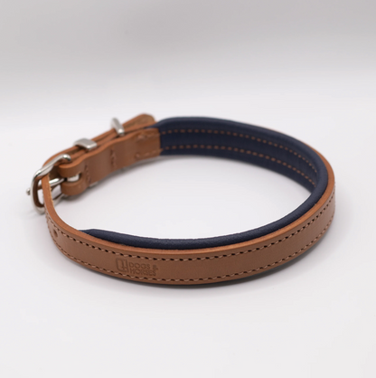 Padded Leather Dog Collar Tan and Navy