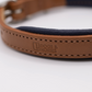 Padded Leather Dog Collar Tan and Navy