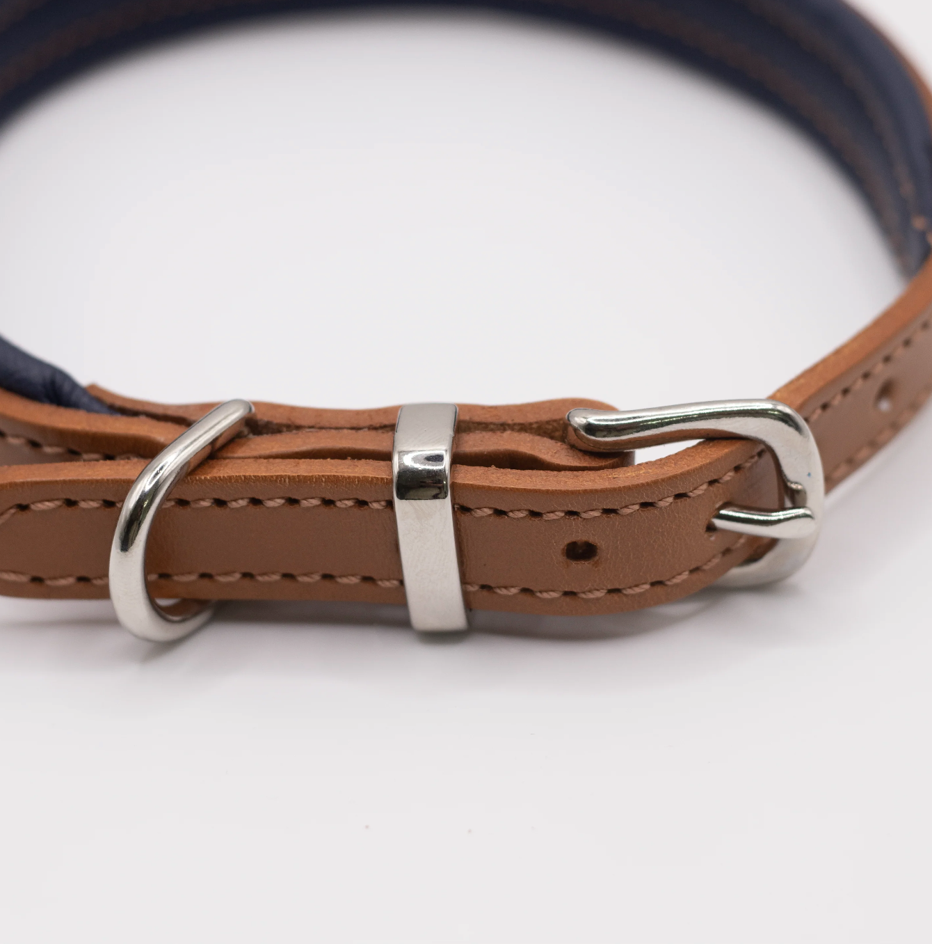 Padded Leather Dog Collar Tan and Navy