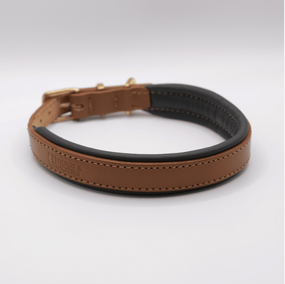 Padded Leather Dog Collar Tan and Racing Green