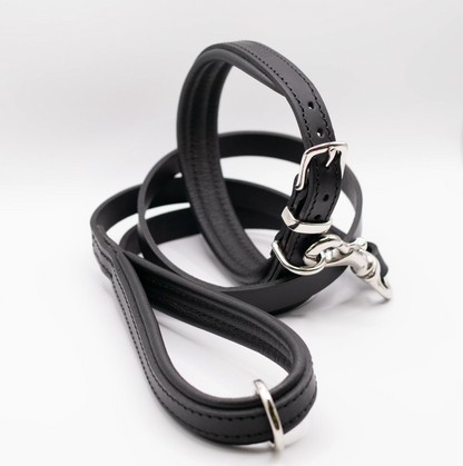 Padded Leather Dog Collar Black