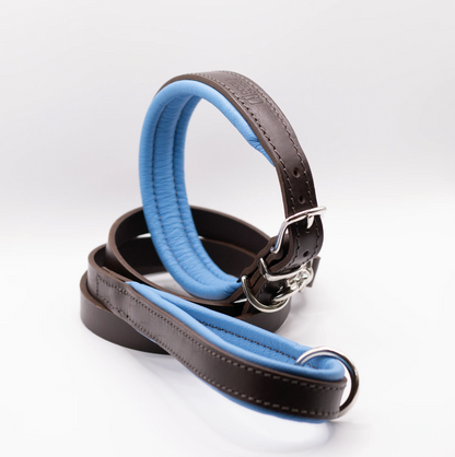 Padded Leather Dog Collar Brown and Blue