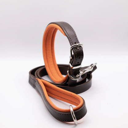 Padded Leather Dog Collar and Lead Set Brown and Orange