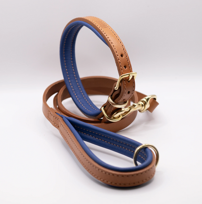Padded Leather Dog Collar and Lead Set Tan and Electric Blue