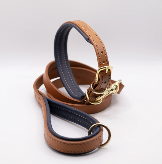 Padded Leather Dog Collar and Lead Set Tan and Navy