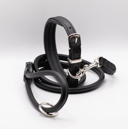 Padded Leather Dog Collar Black