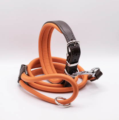 Padded Leather Dog Collar Brown and Orange