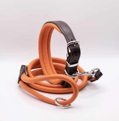 Padded Leather Dog Collar and Rolled Lead Set Orange