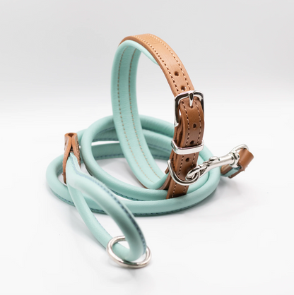 Padded Leather Dog Collar Tan and Aqua