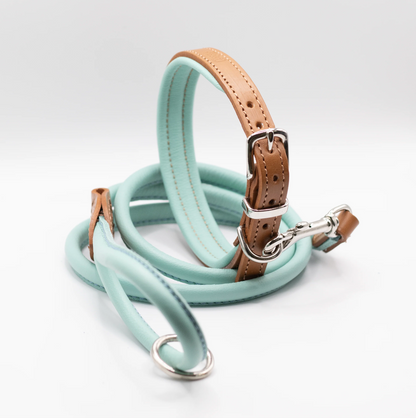 Padded Leather Dog Collar and Rolled Lead Set Aqua