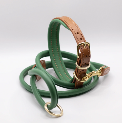 Padded Leather Dog Collar Tan and Clover