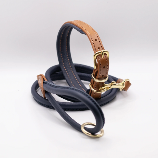 Padded Leather Dog Collar and Rolled Lead Set Navy
