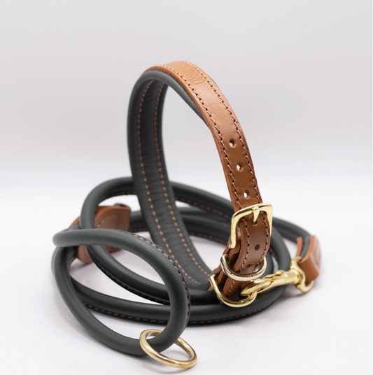 Padded Leather Dog Collar and Rolled Lead Set Racing Green