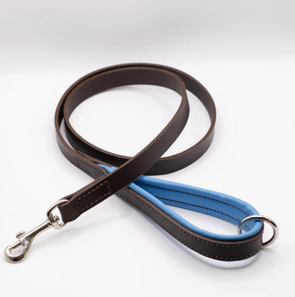 Padded Leather Dog Lead Brown and Blue